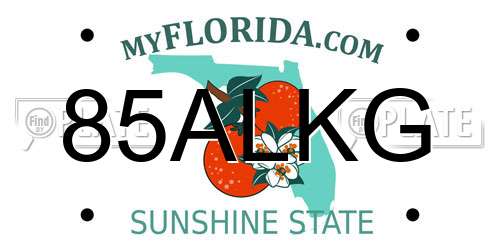 85ALKG Florida License Plate