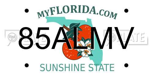 85ALMV Florida License Plate