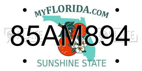 85AM894 Florida License Plate
