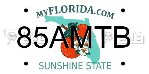 85AMTB Florida License Plate