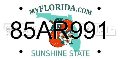 85AR991 Florida License Plate