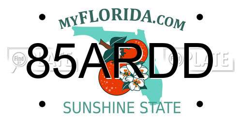 85ARDD Florida License Plate