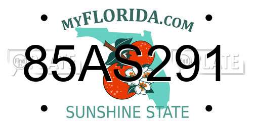 85AS291 Florida License Plate