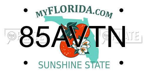 85AVTN Florida License Plate
