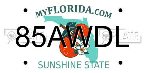 85AWDL Florida License Plate