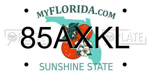 85AXKL Florida License Plate
