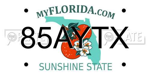 85AYTX Florida License Plate