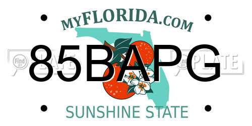 85BAPG Florida License Plate