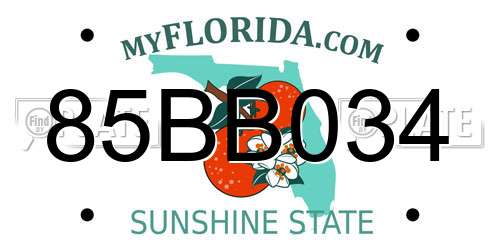 85BB034 Florida License Plate