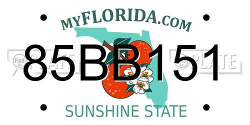 85BB151 Florida License Plate
