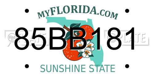 85BB181 Florida License Plate
