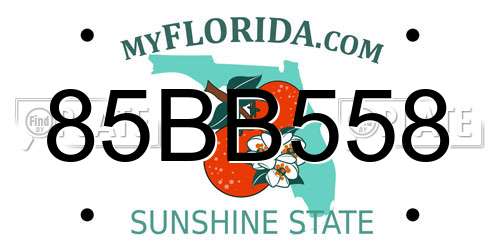 85BB558 Florida License Plate