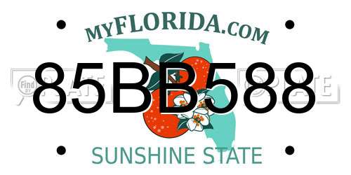 85BB588 Florida License Plate