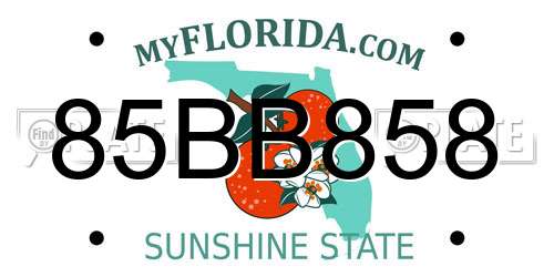 85BB858 Florida License Plate