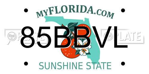 85BBVL Florida License Plate