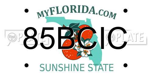 85BCIC Florida License Plate