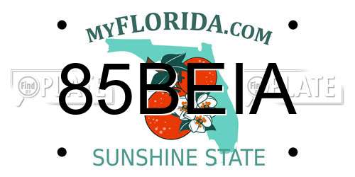 85BEIA Florida License Plate