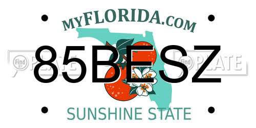 85BESZ Florida License Plate