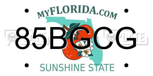 85BGCG Florida License Plate