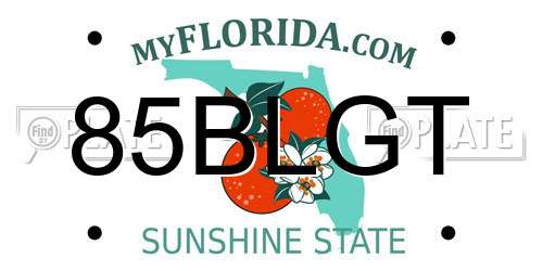 85BLGT Florida License Plate
