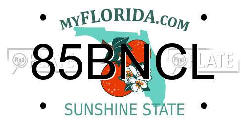 85BNCL Florida License Plate