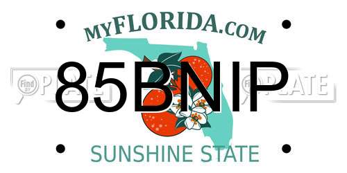 85BNIP Florida License Plate