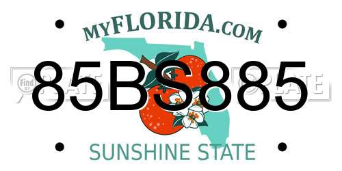 85BS885 Florida License Plate