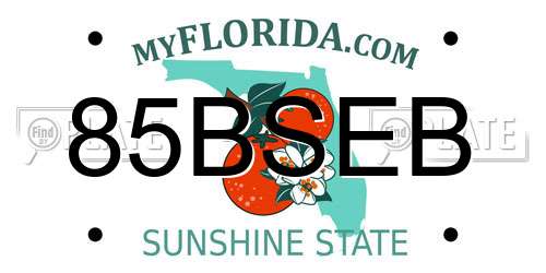 85BSEB Florida License Plate