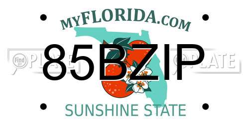 85BZIP Florida License Plate