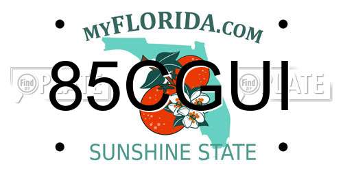 85CGUI Florida License Plate