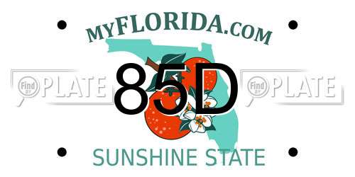 85D Florida License Plate