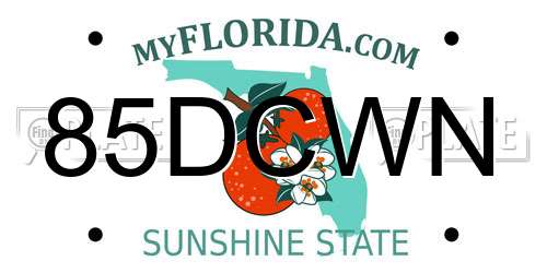 85DCWN Florida License Plate