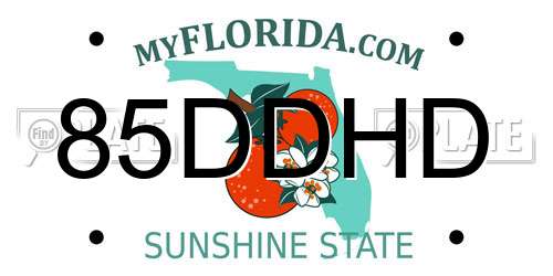 85DDHD Florida License Plate