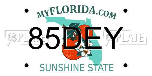 85DEY Florida License Plate