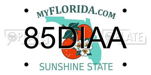 85DIAA Florida License Plate