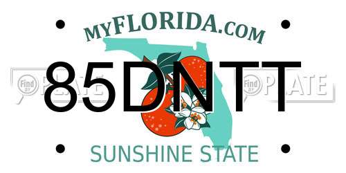 85DNTT Florida License Plate