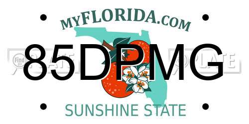 85DPMG Florida License Plate