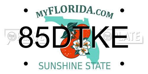 85DTKE Florida License Plate