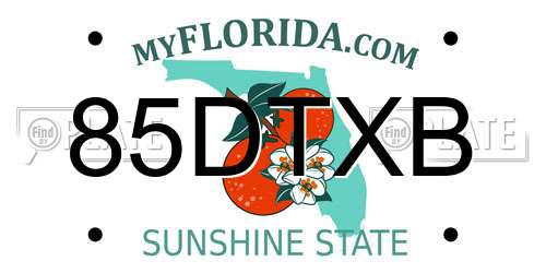 85DTXB Florida License Plate