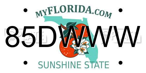 85DWWW Florida License Plate