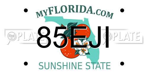 85EJI Florida License Plate