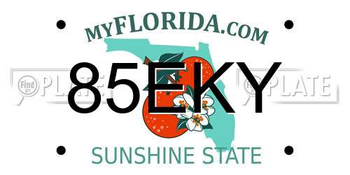 85EKY Florida License Plate