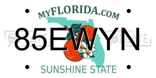 85EWYN Florida License Plate