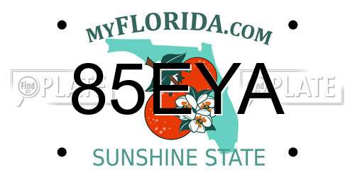 85EYA Florida License Plate
