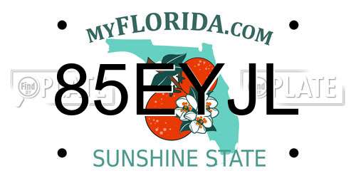 85EYJL Florida License Plate