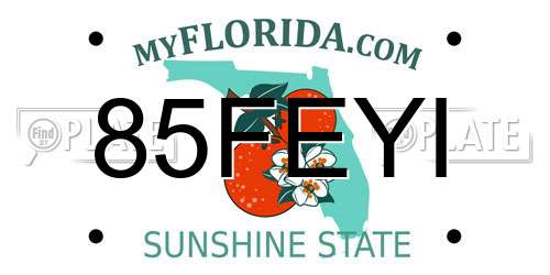 85FEYI Florida License Plate