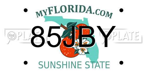 85JBY Florida License Plate