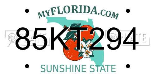 85KT294 Florida License Plate