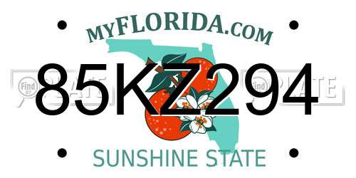 85KZ294 Florida License Plate