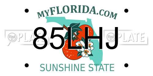 85LHJ Florida License Plate